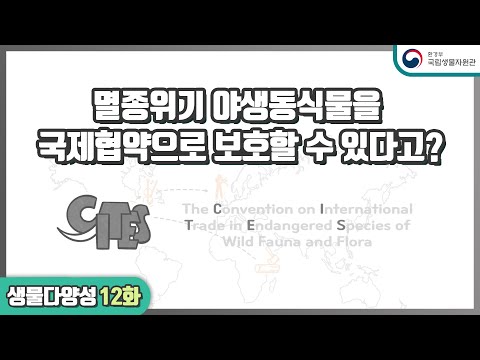 ep12. 멸종위기 야생동식물을 국제협약으로 보호할 수 있다고?_CITES