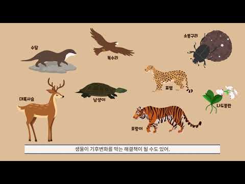 [국립생태원] 멸종위기종이 사라진다면 인간도 큰일난다고?