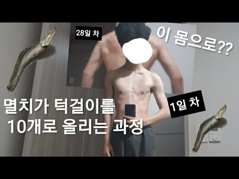 누가봐도 멸치인놈이 턱걸이를 10개찍으면 어떻게될까??