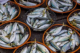 Fish As Food - Wikipedia