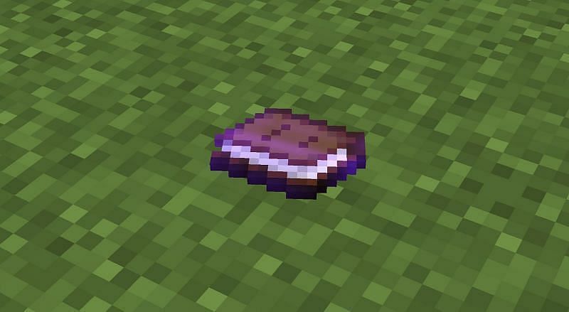 Top 5 Rarest Fishing Loot In Minecraft