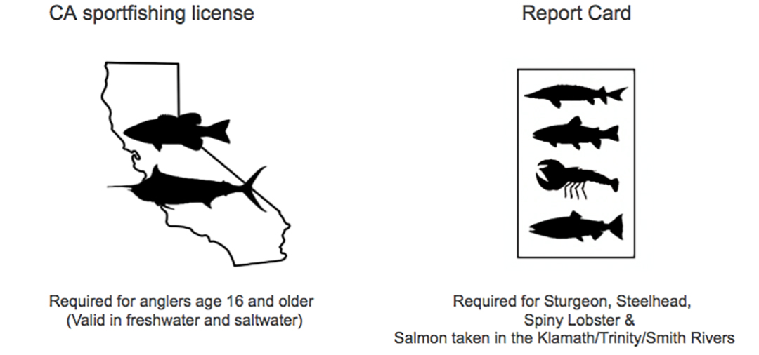 A Guide To Purchasing Your California Fishing License | Us Harbors