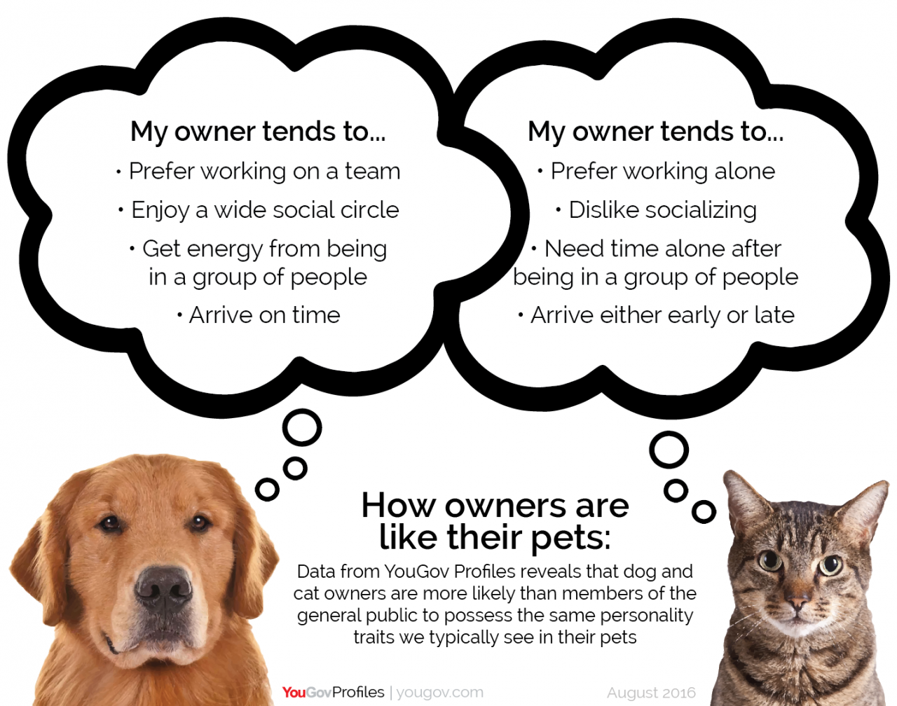 Dog Person Or A Cat Person? Your Personality Gives It Away | Yougov
