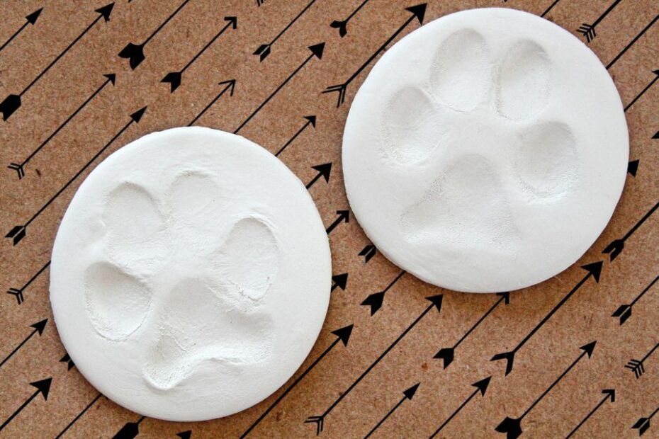 How To Make Diy Clay Pet Paw Prints - Dalmatian Diy