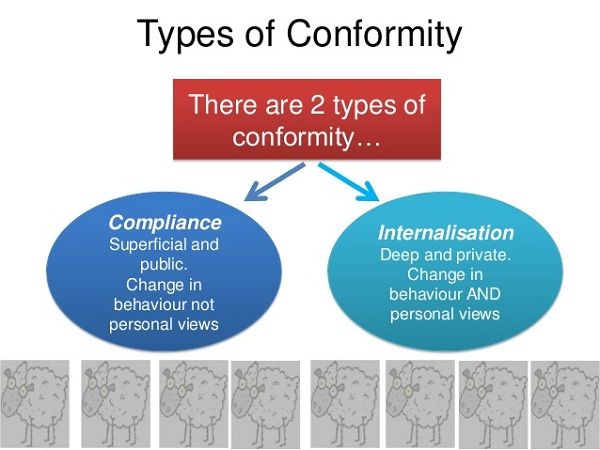 10 Everyday Life Examples Of Conformity – Studiousguy