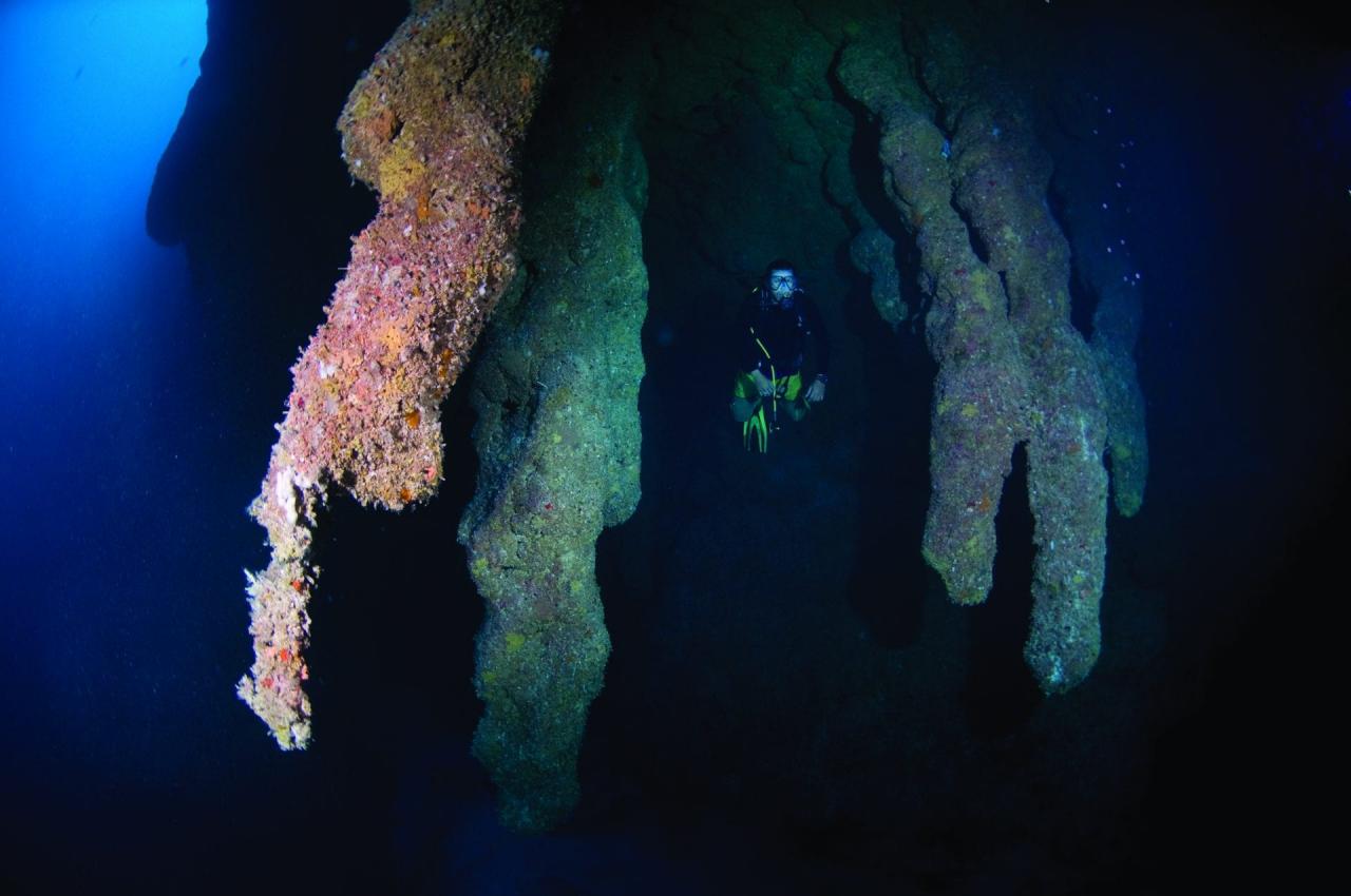 Diving The Great Blue Hole: What Lies Below In Belize