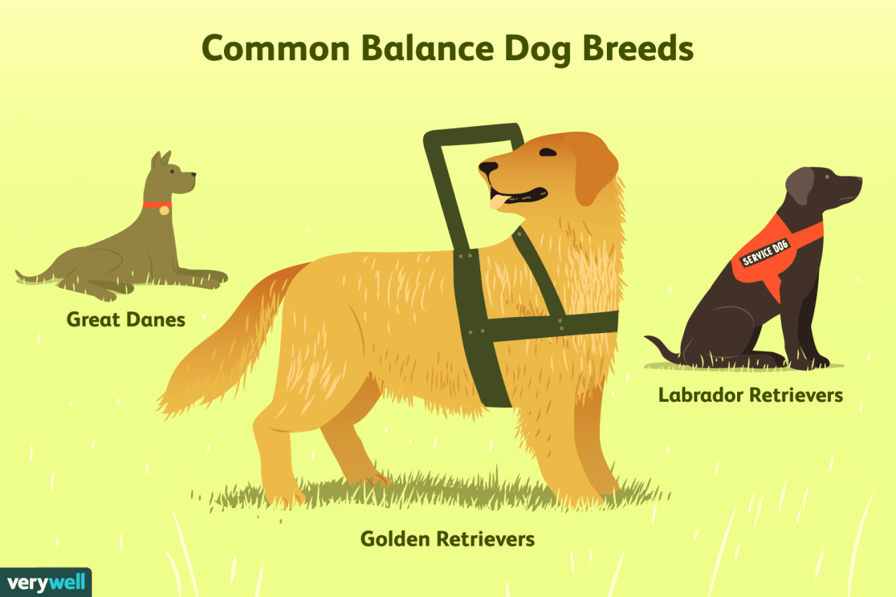 Balance Service Dogs For Multiple Sclerosis