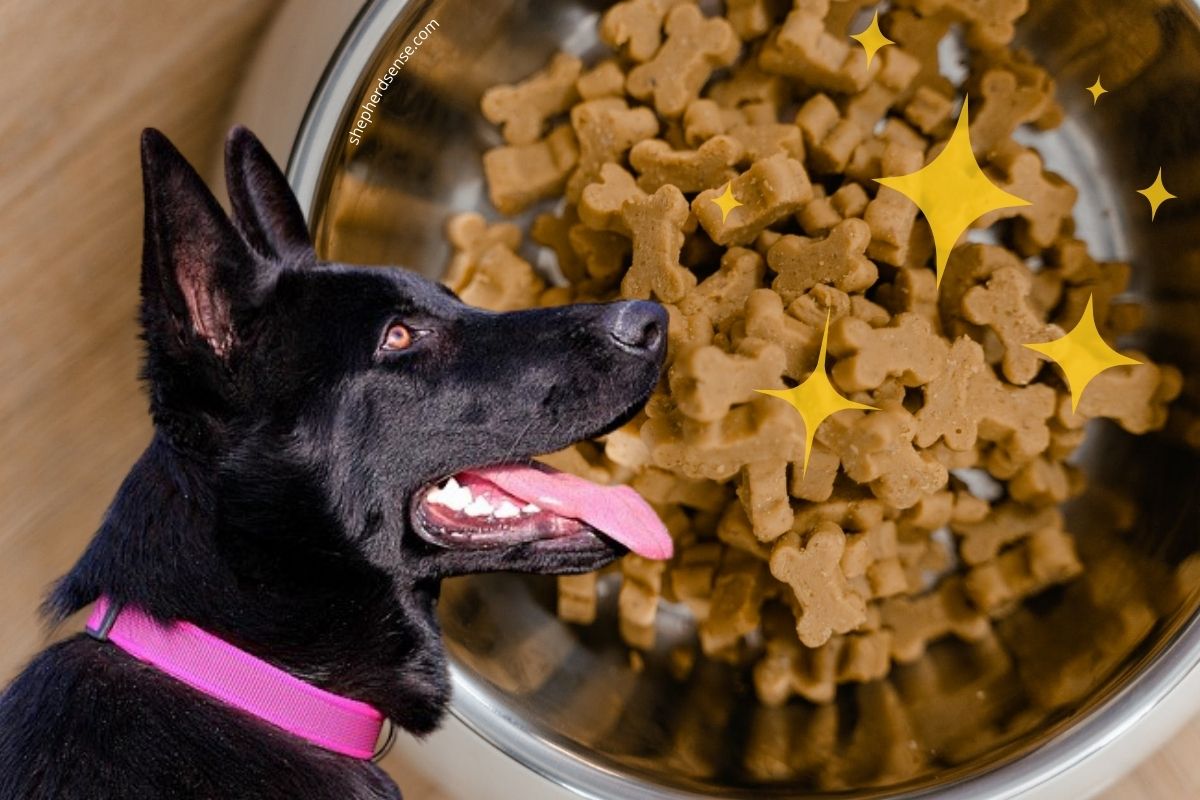 The Best German Shepherd Diet And Meal Plan For Every Age - Shepherd Sense