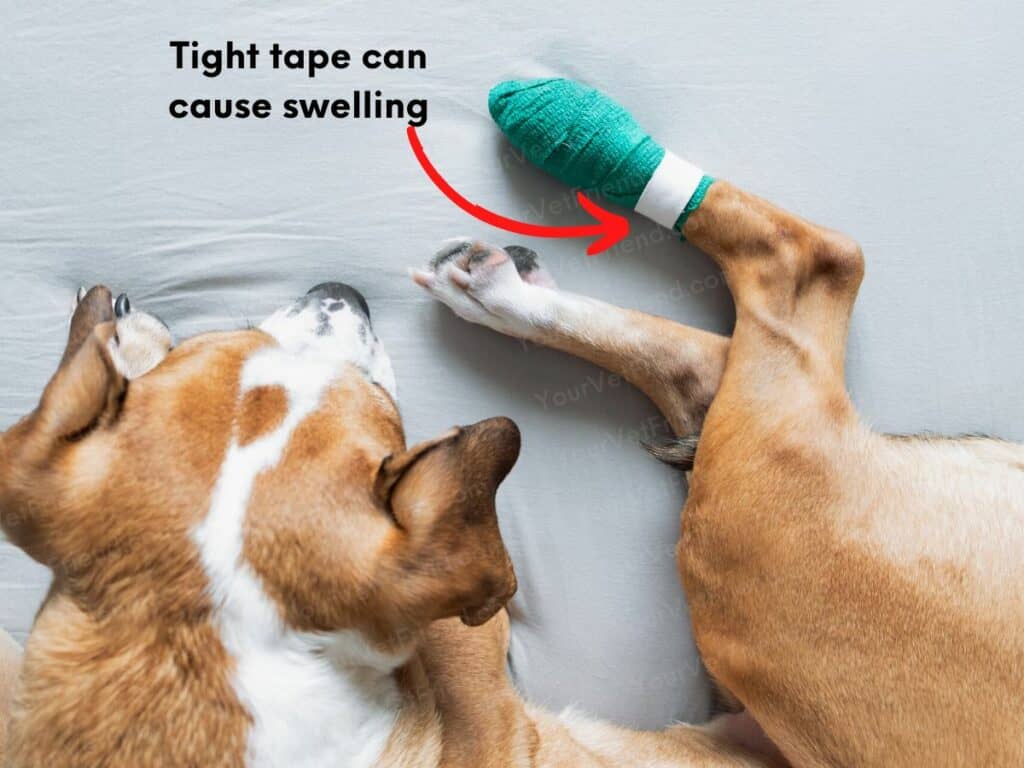 What To Do If Your Dog'S Foot Is Swollen From A Bandage - Your Vet Friend