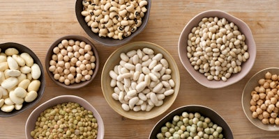 Can Dogs Eat Beans? - Purina®