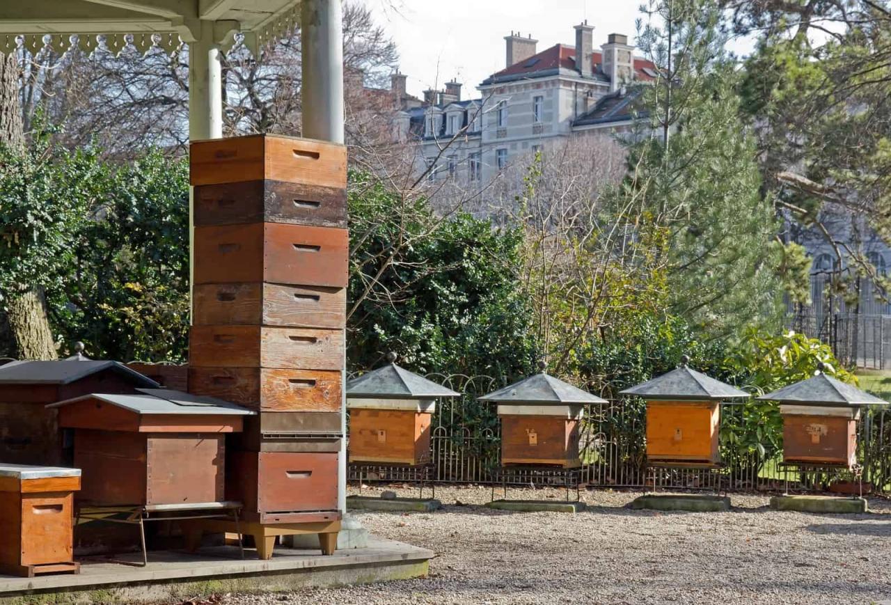 Beekeeping And The Neighbors - Perfectbee