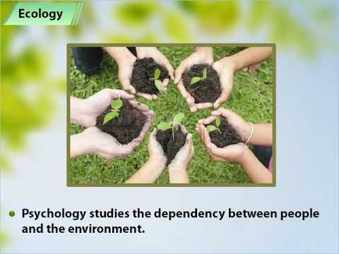 Class 12: Psychology | Human-Environment Relationship - Youtube