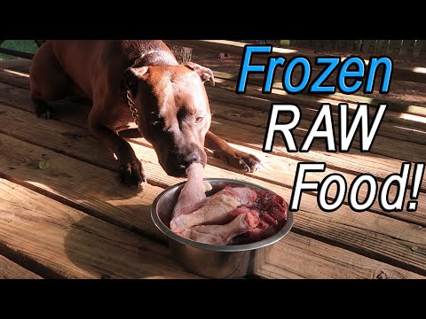 Reasons To Feed Your Dog Frozen Raw Food! (Chicken Drumsticks, Liver And  Gizzards) - Youtube