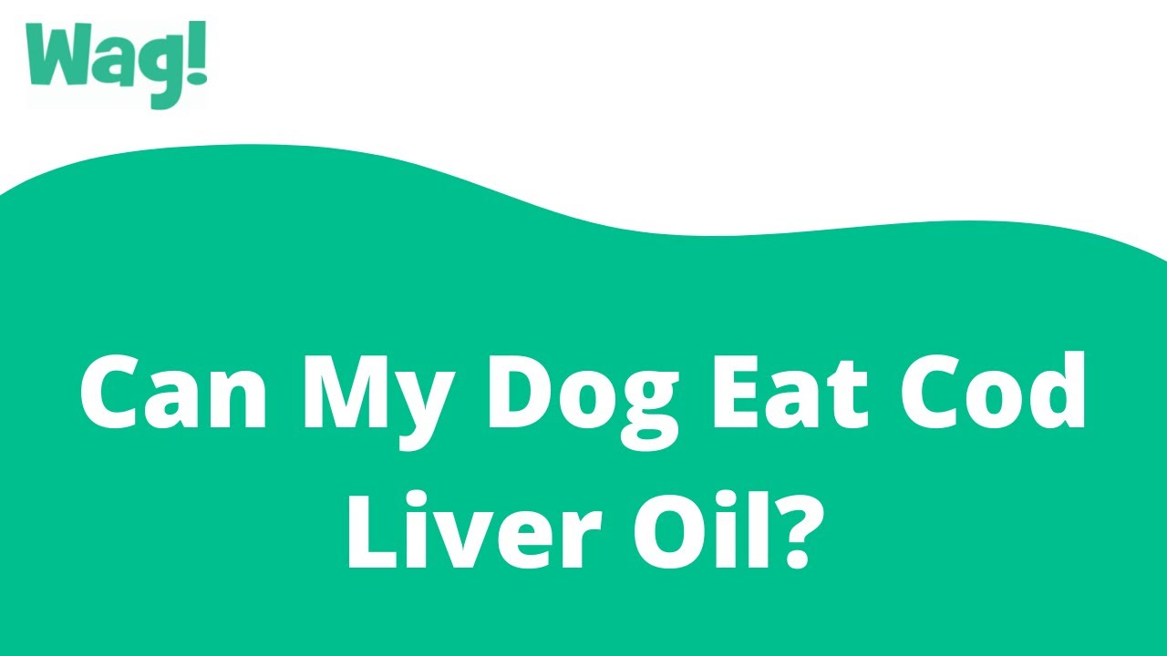 Can My Dog Eat Cod Liver Oil?