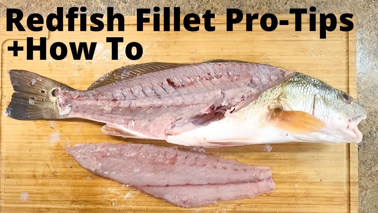 How To Fillet Redfish Perfect - Pro Tip For Quick Easy Fillet - Youtube