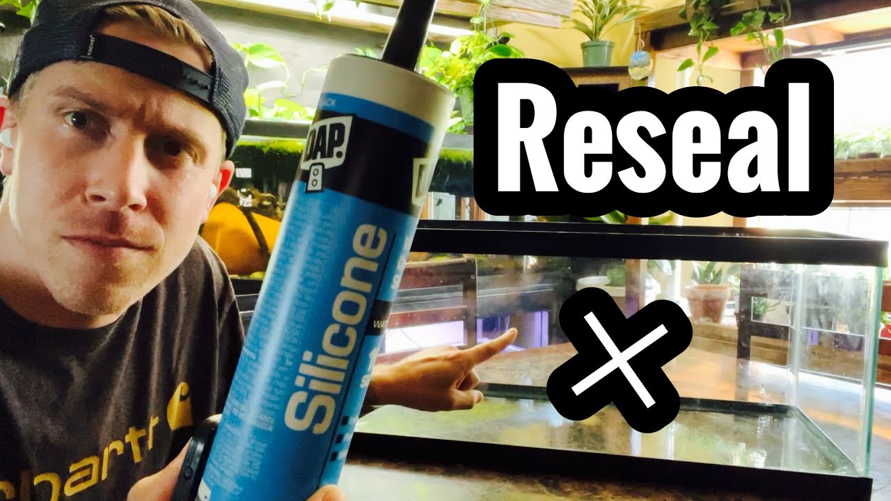 How To Reseal A Leaking Aquarium - Youtube