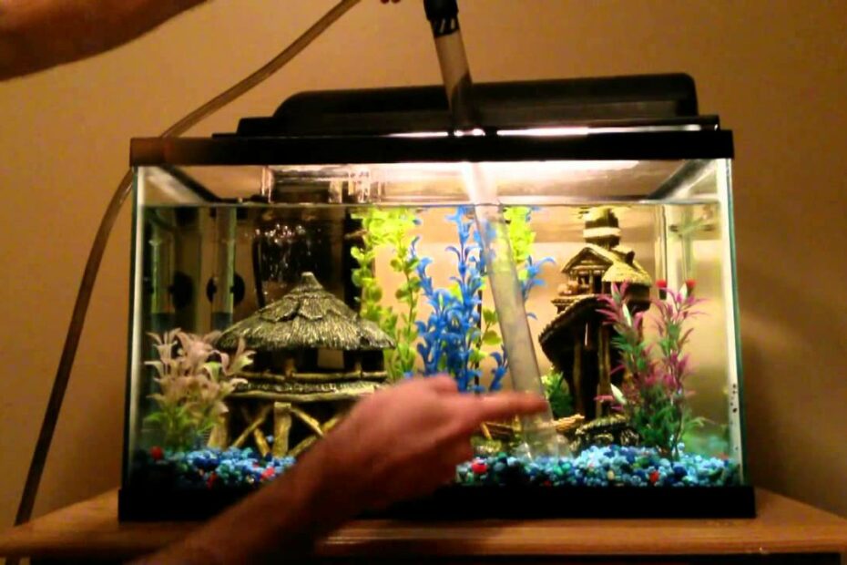 Performing A Freshwater Tank Water Change - Youtube