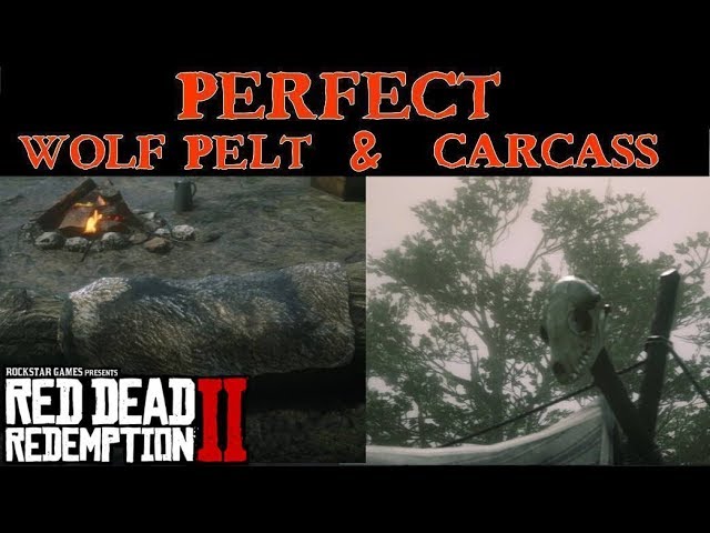 Red Dead Redemption 2 | Get Perfect Wolf Carcass And Pelts Easy For Camp  Improvements - Youtube