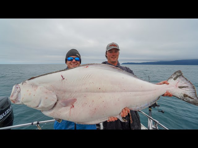 Giant Alaskan Halibut... Catch Clean Cook - Youtube