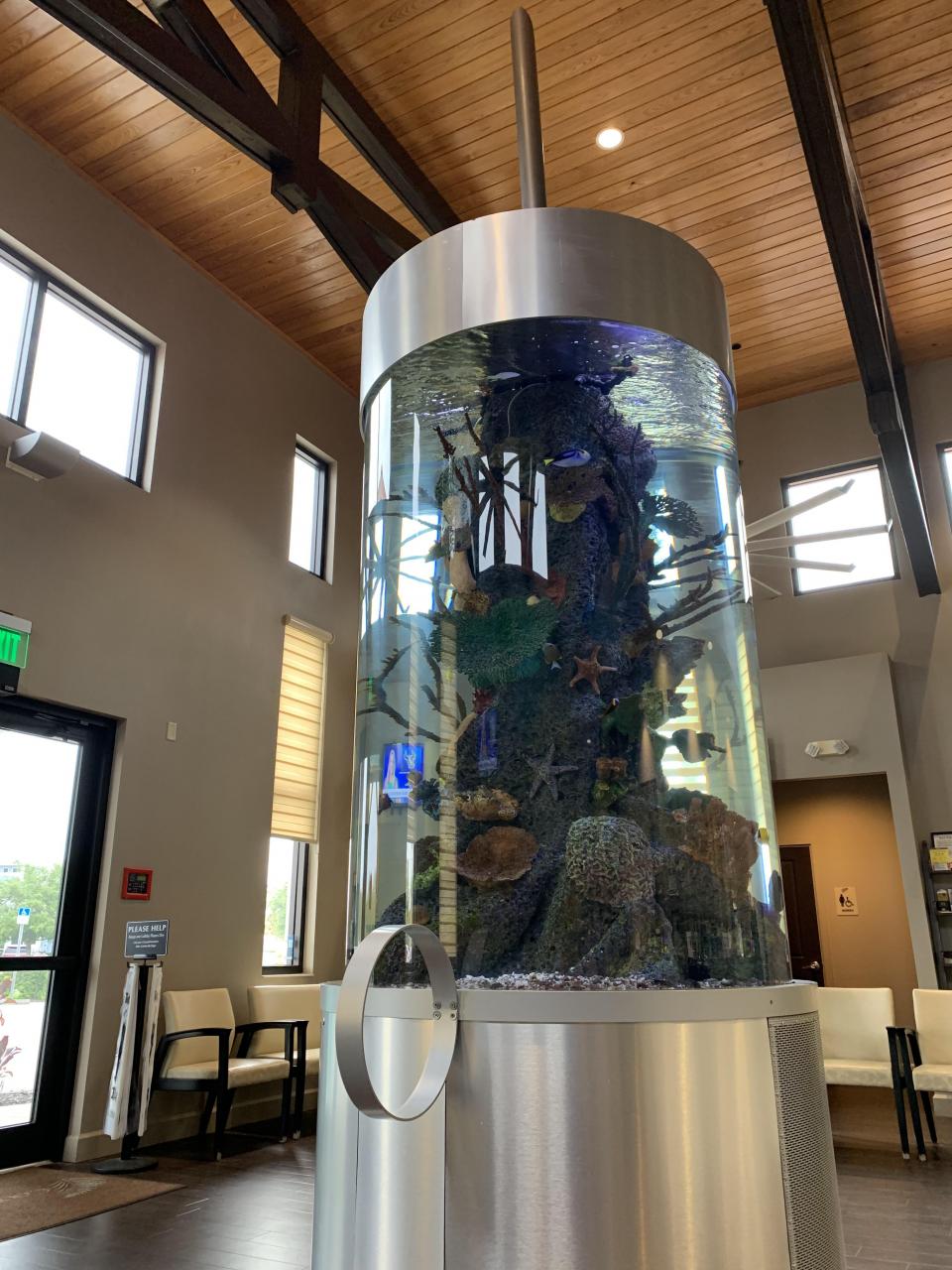 My Doctor'S Office Aquarium Is A Syringe. : R/Mildlyinteresting