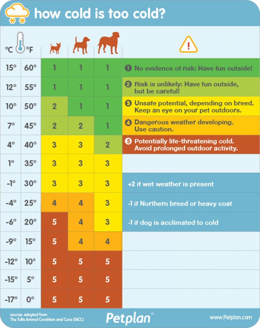 Dog Walking In Winter - 7 Practical Tips | Barc London