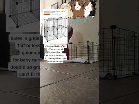 easiest diy guinea pig cage