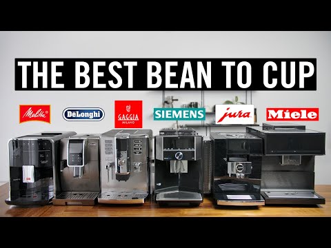 The Best Bean To Cup