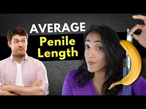 How big is the average penis? (it's not as long as you think!)