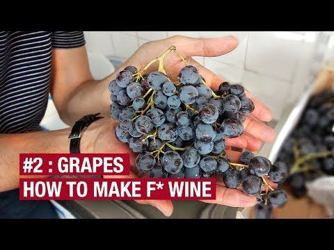 2. Bought 10Kg of Grapes. Now What ? How To Make F* Wine At Home Ep2