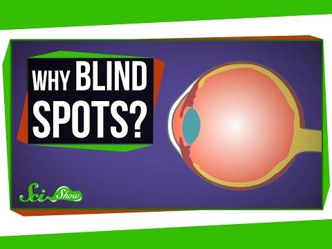 Why Do We Have Blind Spots?