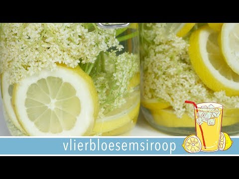 Vlierbloesemsiroop🍹, maak het zelf!  | RENSKE VISSER GEWICHTSCONSULENT