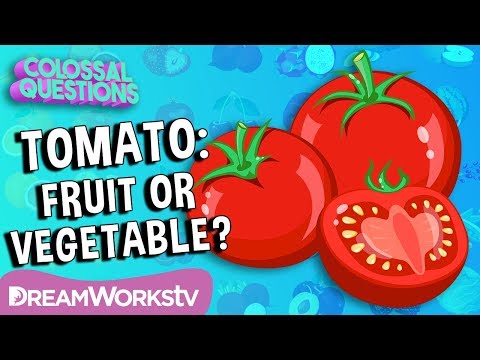 Is a Tomato a Fruit or a Vegetable? | COLOSSAL QUESTIONS