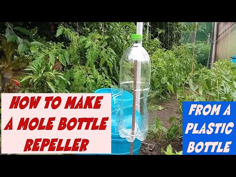 HOW TO MAKE A MOLE BOTTLE REPELLER FROM A PLASTIC BOTTLE