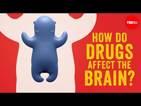 How do drugs affect the brain? - Sara Garofalo