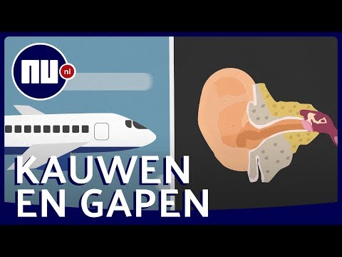 Wat gebeurt er met je oren tijdens een vlucht? | NU.nl