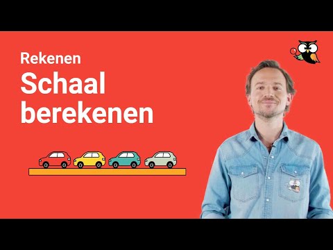 Schaal berekenen: uitleg over rekenen met schaal (2023)