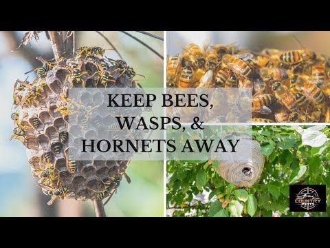 Keep Bees Wasps & Hornets Away. Easy Hack! Works For Camping, Picnics & Parties